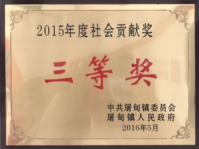 2015社會貢獻獎三等獎